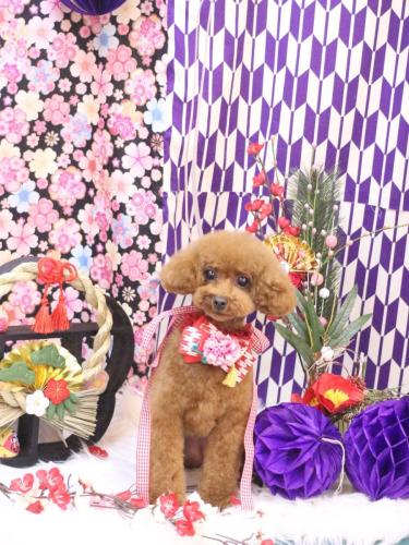 20250119モコちゃん